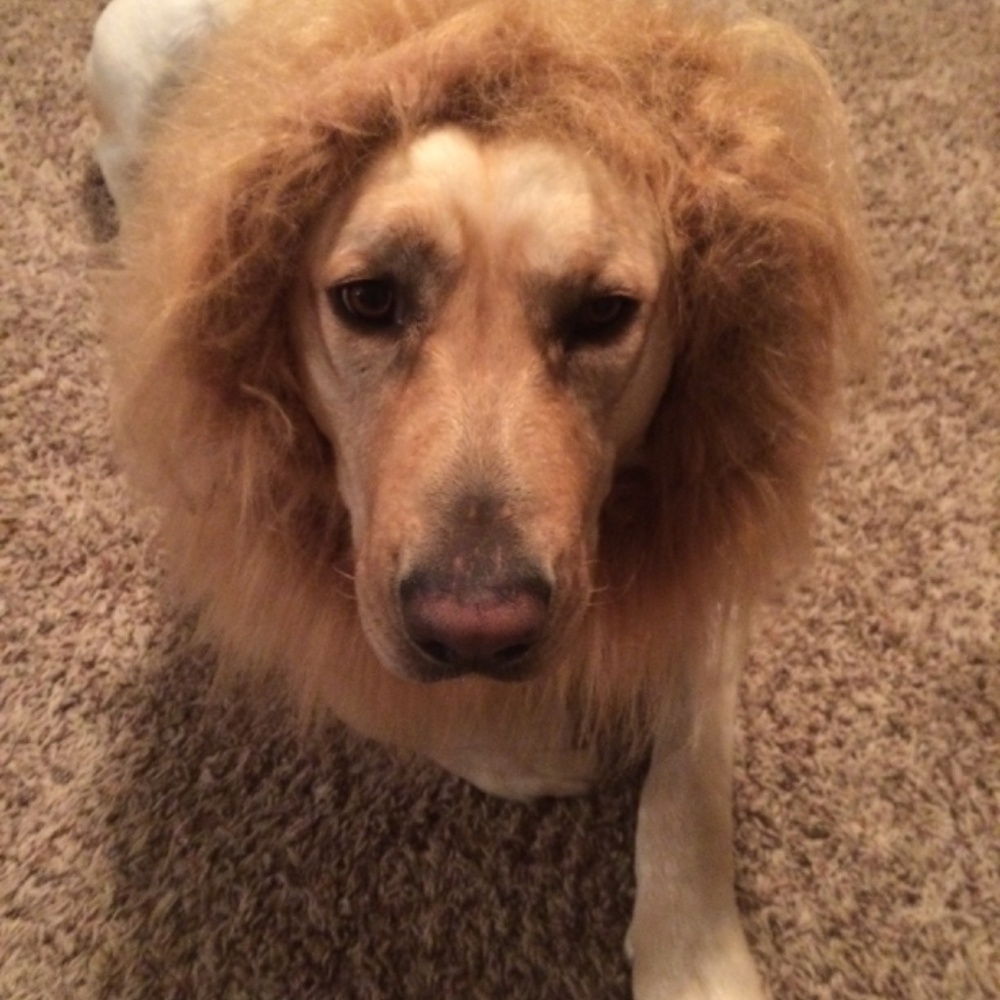 MorganFarms is LIVE! - Picture 9 of 11